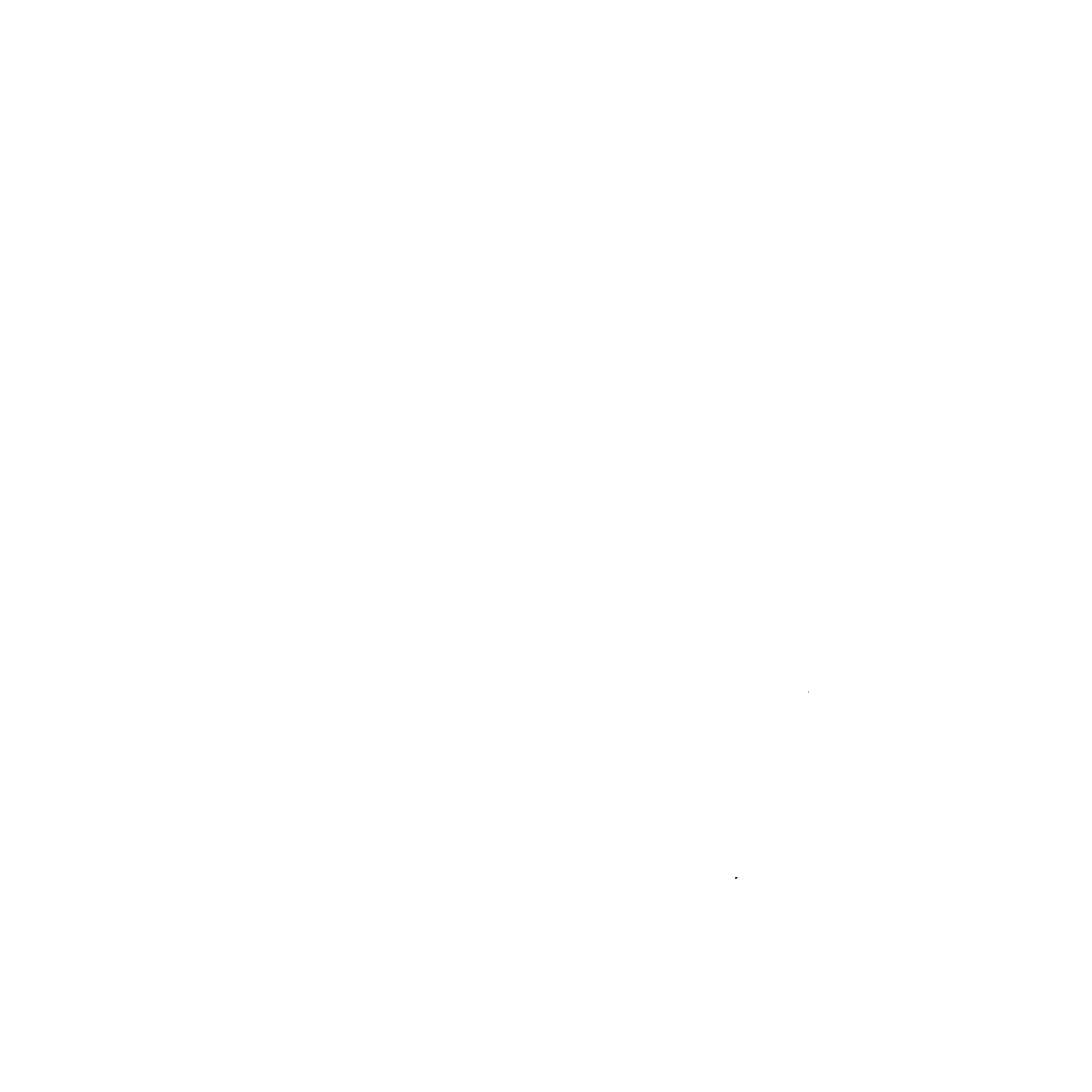 Ryan O'Neil Logo