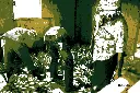 18x24temp0100.webp